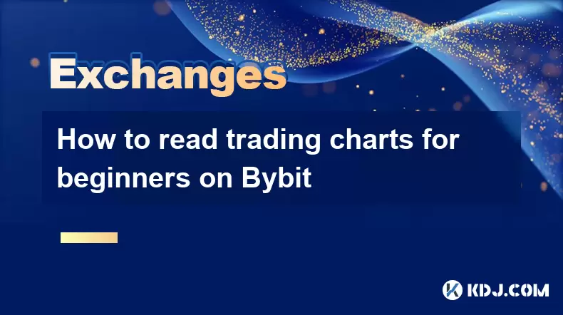 如何閱讀Bybit上初學者的交易圖表 如何閱讀Bybit上初學者的交易圖表