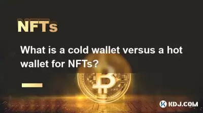 차가운 지갑은 NFT의 핫 지갑 란 무엇입니까?