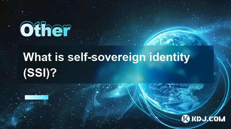 什麼是自我主張身份(SSI)? 什麼是自我主張身份(SSI)?