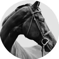 HORSE🏴‍☠️