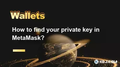 Wie finde ich Ihren privaten Schlüssel in Metamask?