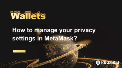 Wie verwalte ich Ihre Datenschutzeinstellungen in Metamask?