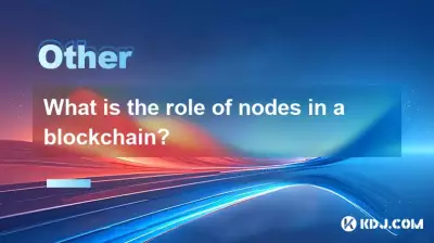 Quel est le rôle des nœuds dans une blockchain?