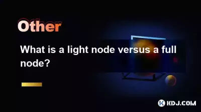 什么是光节点与完整节点？