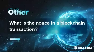 What is the nonce in a blockchain transaction? What is the nonce in a blockchain transaction?