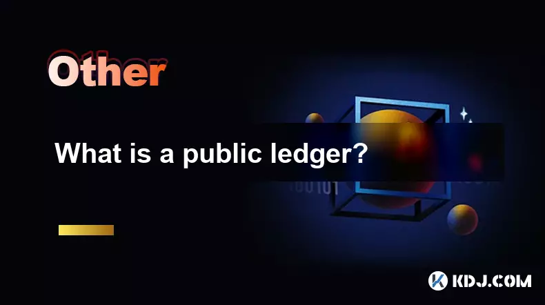 什麼是公共分類帳? 什麼是公共分類帳?