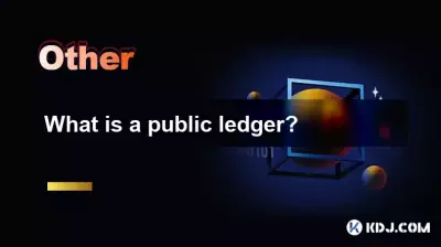What is a public ledger? What is a public ledger?