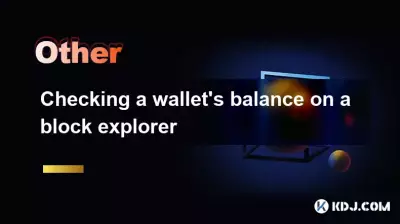 检查钱包的平衡