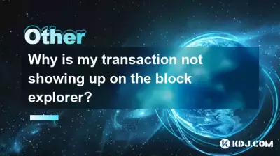 为什么我的交易未出现在Block Explorer上？