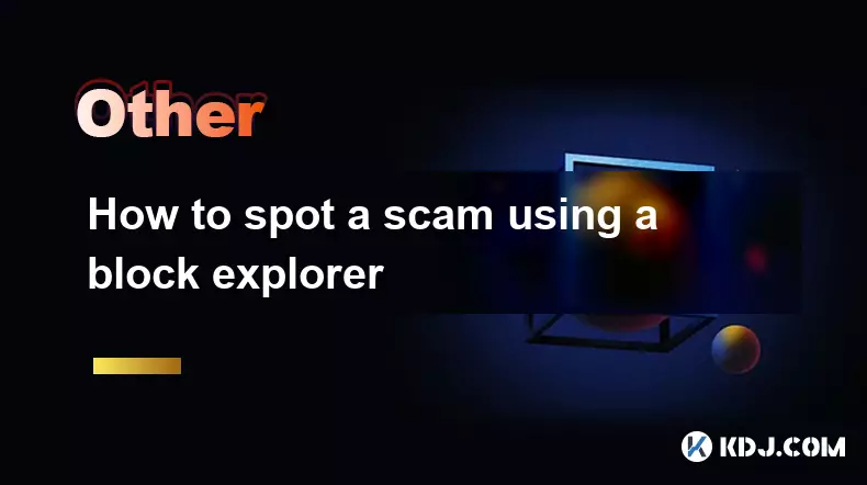 How to spot a scam using a block explorer How to spot a scam using a block explorer