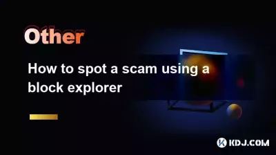 如何使用Block Explorer发现骗局