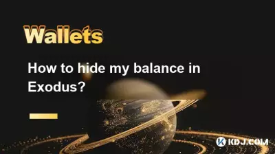 How to hide my balance in Exodus?