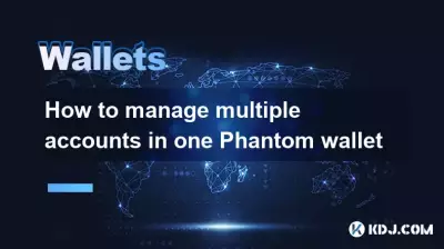 如何在一个幻影钱包中管理多个帐户 如何在一个幻影钱包中管理多个帐户