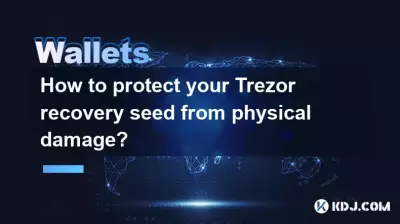 如何保护您的Trezor恢复种子免受身体伤害? 如何保护您的Trezor恢复种子免受身体伤害?