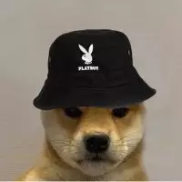 MR. BROWN