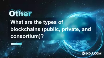 What are the types of blockchains (public, private, and consortium)? What are the types of blockchains (public, private, and consortium)?