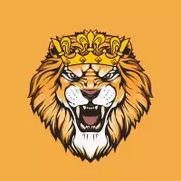 DYOR 自己做研究🔸