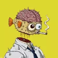 Ⱥlgostellar.algo