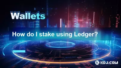 Wie kann ich ein Ledger verwenden?