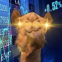 Camel Finance YT⚡️