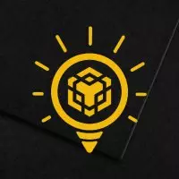 BNB Insights