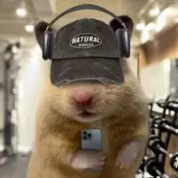 Alpha Hamster
