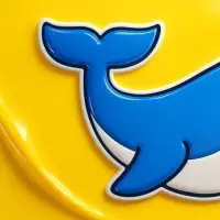 Mr. whale