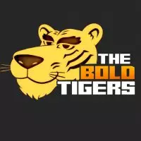 THE BOLD TIGERS NFT