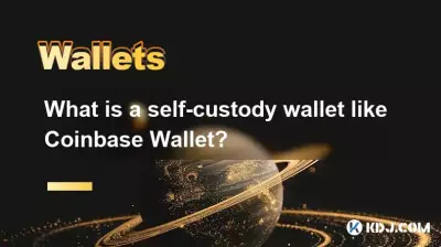 什么是自我顾客钱包，例如Coinbase Wallet？
