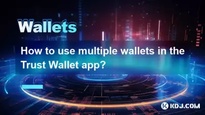 如何在信任钱包应用中使用多个钱包？