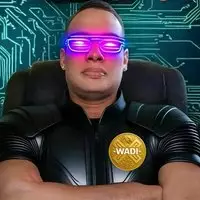 Wadi Crypto X