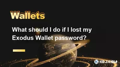 What should I do if I lost my Exodus Wallet password? What should I do if I lost my Exodus Wallet password?