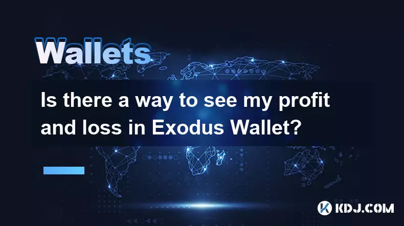 有没有办法在 Exodus 钱包中查看我的损益? 有没有办法在 Exodus 钱包中查看我的损益?