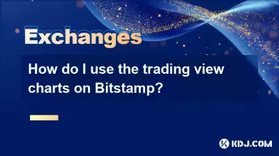 How do I use the trading view charts on Bitstamp?