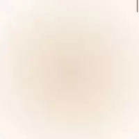 Blank