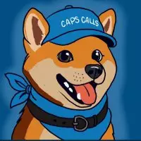 Capitalist🧢資本家