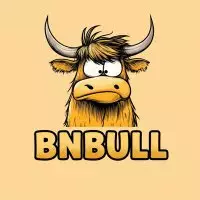 BNBULL🐂