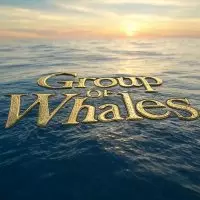 Group OF Whales