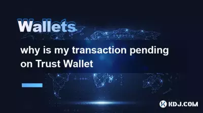 为什么我的交易在 Trust Wallet 上处于待处理状态 为什么我的交易在 Trust Wallet 上处于待处理状态