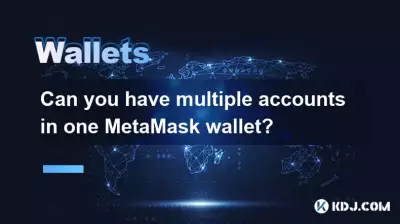 Can you have multiple accounts in one MetaMask wallet? Can you have multiple accounts in one MetaMask wallet?