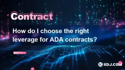 如何为 ADA 合约选择合适的杠杆? 如何为 ADA 合约选择合适的杠杆?