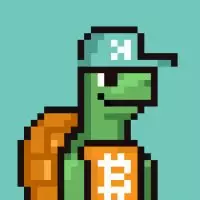 Bitcoin the Turtle