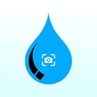 Sui Media💧