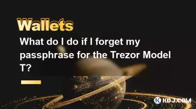 如果忘记 Trezor Model T 的密码该怎么办? 如果忘记 Trezor Model T 的密码该怎么办?