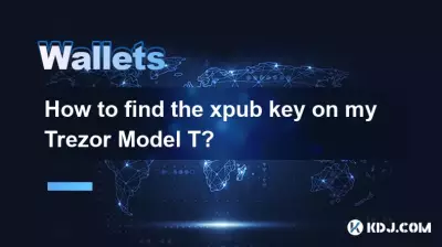 Trezor Model T에서 xpub 키를 찾는 방법은 무엇입니까?