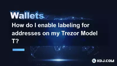 如何在 Trezor Model T 上启用地址标签? 如何在 Trezor Model T 上启用地址标签?