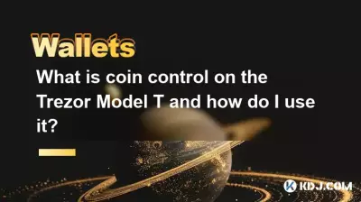 Trezor Model T 上的硬币控制是什么以及如何使用它？