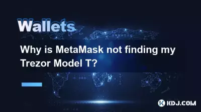 为什么 MetaMask 找不到我的 Trezor Model T? 为什么 MetaMask 找不到我的 Trezor Model T?