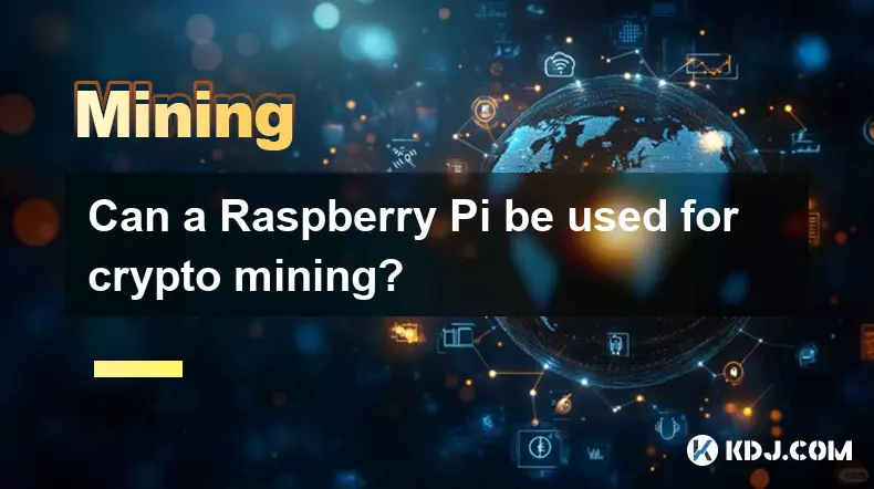 Raspberry Pi 可以用于加密货币挖矿吗? Raspberry Pi 可以用于加密货币挖矿吗?