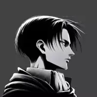 Levi